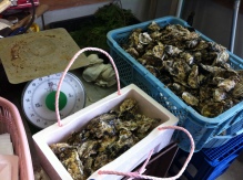 I put oysters into boxes and weighed them.