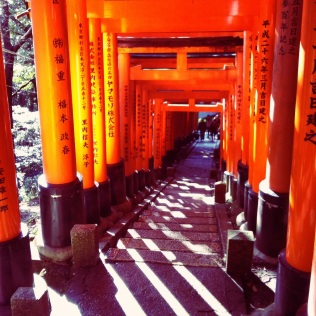 Light filters through the gates of Fushimi Inari